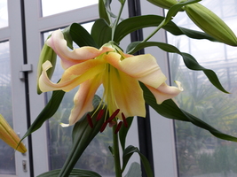 Foto: Dr. Peter Müller